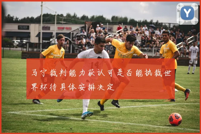 马宁裁判能力获认可是否能执裁世界杯待具体安排决定